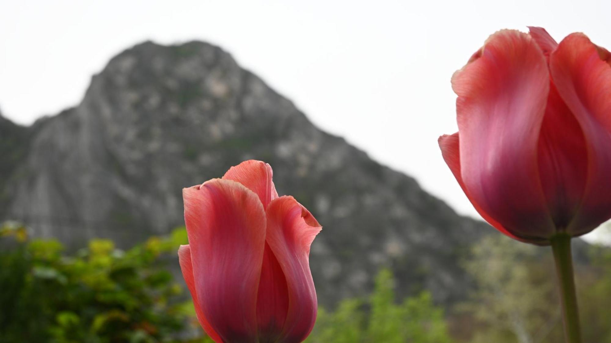 Canyon Matka - Unique Place For Stay Σκόπια Εξωτερικό φωτογραφία